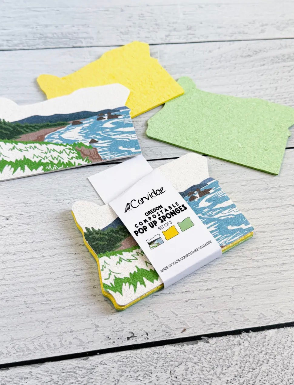 Oregon Shaped Pop Up Sponges