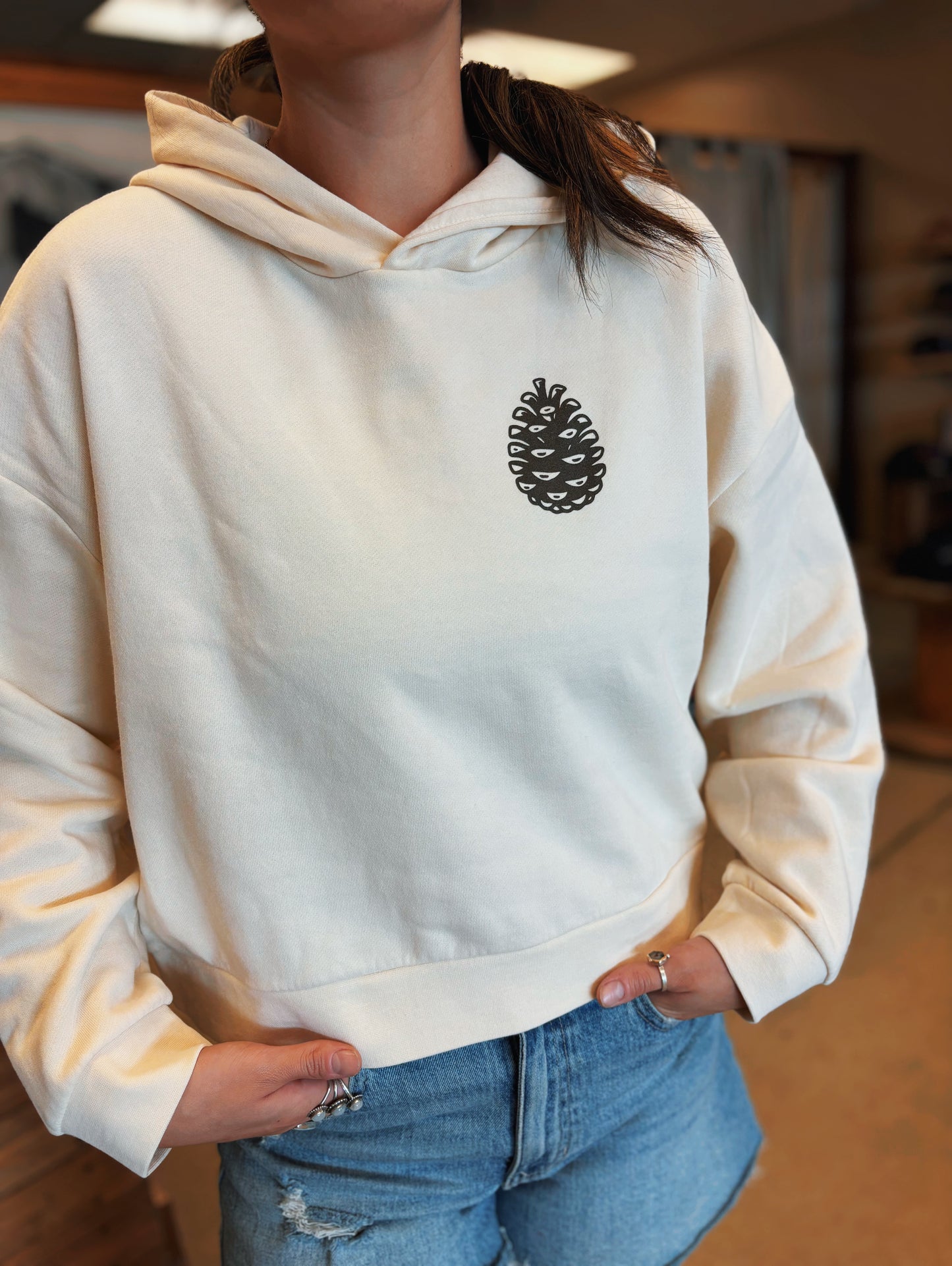PNW Postcard Hoodie