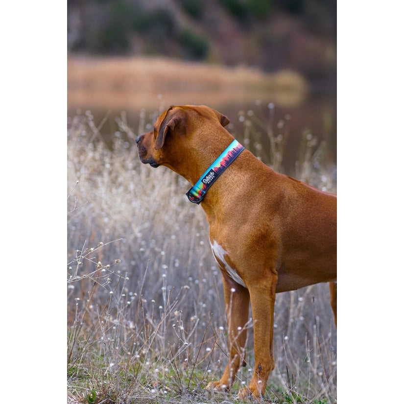 Sunset Trail Dog Collar