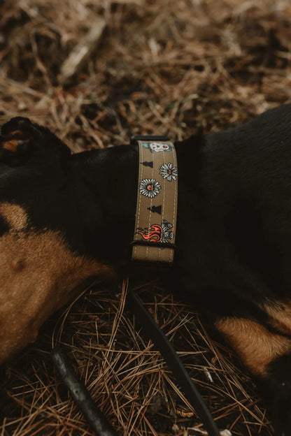 National Barks Dog Collar