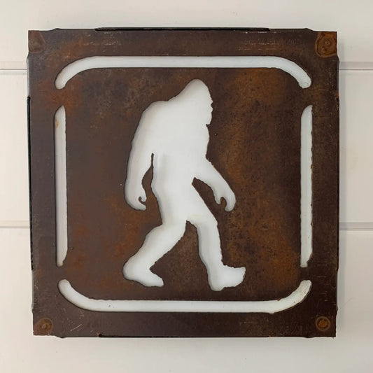 Metal Recreation Signs