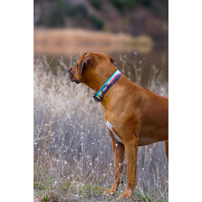 Sunset Trail Dog Collar